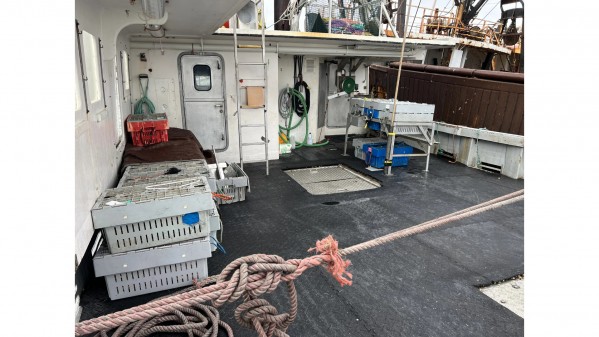 https://novimarinebrokers.com/public/storage/files/06/43/44/tn_10748_attachment.jpeg